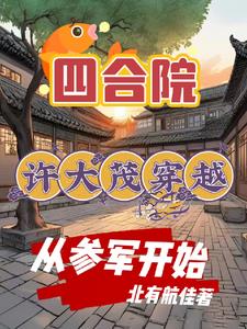 四合院特种兵穿越参军航空报国 北有航佳 泡泡小说